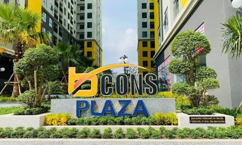 Bcons, Tiến Phước, Thắng Lợi, Gamuda Land vào diện kiểm tra thuế