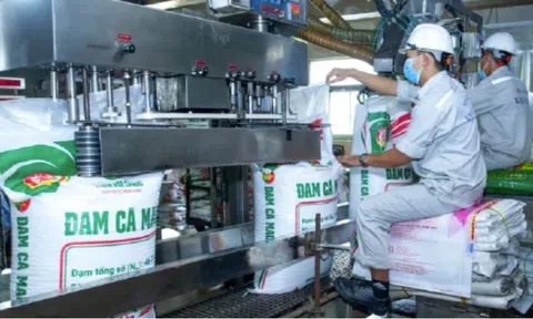 Lỗ kéo dài, lãi mỏng, Công ty Phân bón Hàn - Việt vào “tầm ngắm” kiểm tra thuế