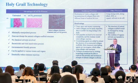 Việt Nam gây chấn động thế giới với công nghệ ghép tạng động vật cho người