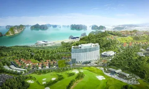 Quảng Ninh yêu cầu thu hồi nợ thuế tại 2 dự án 16.000 tỷ đồng của Tập đoàn FLC