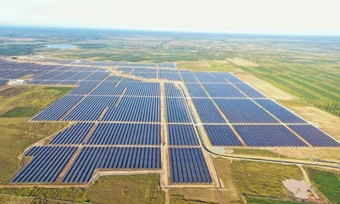 Xử phạt Công ty TNHH Xuân Thiện Đắk Lắk do vi phạm chứng khoán