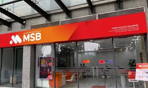 Ngân hàng MSB chi nhánh Thái Nguyên còn nhiều tồn tại trong hoạt động tín dụng