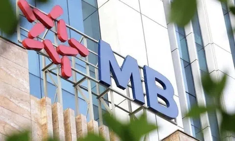 MBBank (MBB): Nợ có khả năng mất vốn vượt 7.400 tỷ đồng, Kiểm toán Nhà nước nêu nhiều điểm cần lưu ý