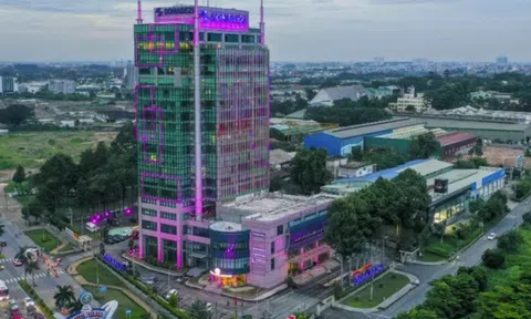 Trưởng Ban kiểm soát Đặng Lê Bích Phượng bị khởi tố, Sonadez nói gì?