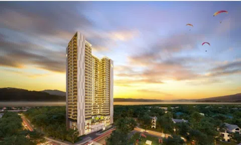 Ông Nguyễn Hải Đăng bị tạm hoãn xuất cảnh do Công ty The Sang nợ thuế hơn 15 tỷ đồng