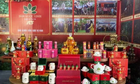 Sâm Ngọc Linh Kon Tum và hàng loạt doanh nghiệp nợ thuế