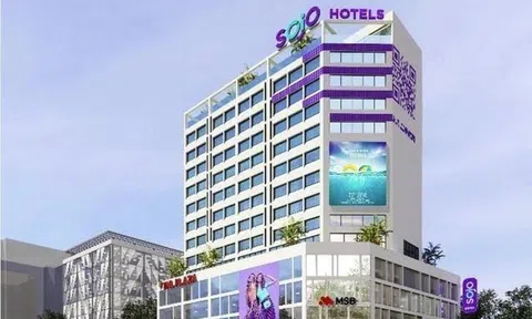 Bị xử phạt hơn 150 triệu đồng, đơn vị vận hành chuỗi SOJO Hotels đang làm ăn thế nào?