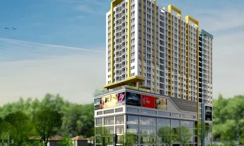 Tổng giám đốc Công ty Địa ốc Sài Gòn 5 nguy cơ bị tạm hoãn xuất cảnh
