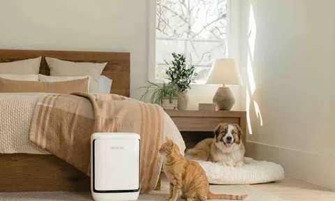 Vital Pet Pro: Giải pháp lọc không khí mới của Levoit dành cho nhà nuôi thú cưng