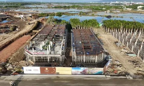 Công ty Cổ phần Tập đoàn Bờ Biển Vàng nợ thuế hơn 8 tỷ đồng