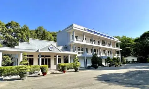 Công ty Cổ phần Công trình Giao thông Đồng Nai bị phạt 185 triệu đồng