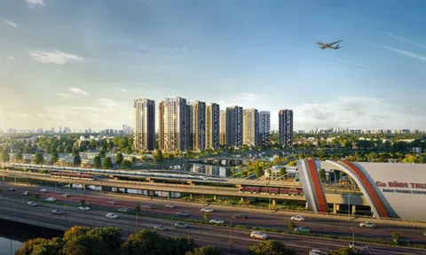 Công ty Cổ phần Bluemarq Development vi phạm chứng khoán