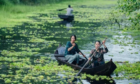 “Út Lan 2” và hành trình đưa 150 con người vào rừng U Minh Thượng