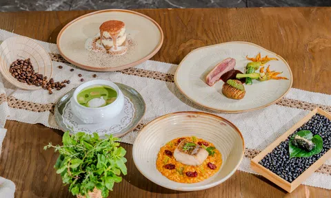 Từ di sản đến đương đại: Bocuse d’Or Vietnam viết tiếp câu chuyện vị Việt tại The Palm
