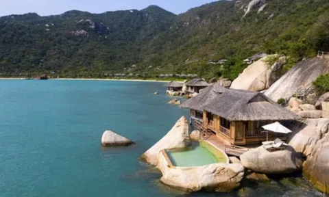 Ninh Vân Bay bị phạt nặng: Tài chính trĩu nặng dưới 'núi lỗ' lũy kế 677 tỷ