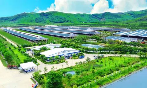 50 năm Vinamilk: Khi ‘đạt chuẩn’ chưa phải điểm dừng