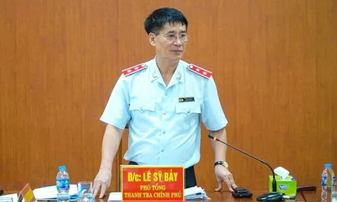 Thanh tra Chính phủ nêu loạt vi phạm tại Công ty Nam Long