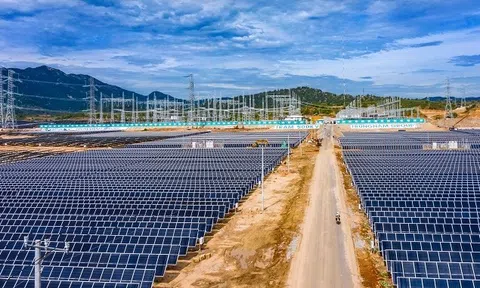 Điện Mặt trời Trung Nam Thuận Nam báo lỗ bán niên 2026