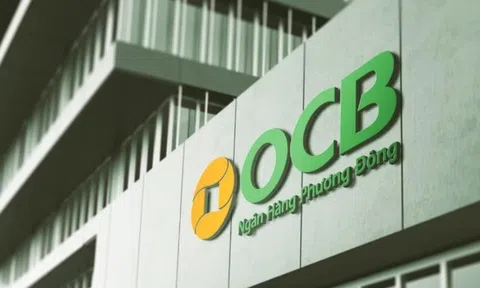 Thanh tra phát hiện các tồn tại, hạn chế tại OCB Đà Nẵng