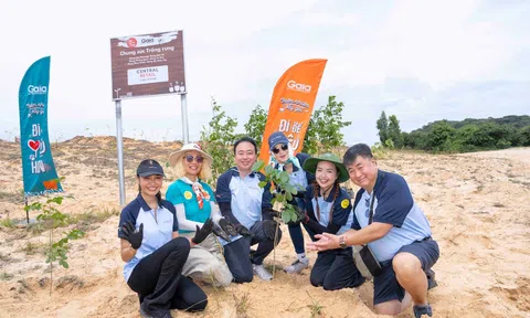 Từ sân khấu sắc đẹp đến những mầm xanh: ba nàng hậu cùng lan tỏa thông điệp bảo vệ rừng