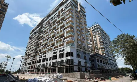 Nhà phát triển Fiato Airport City, Fiato Uptown nợ hơn 17 tỷ đồng thuế, vì sao liên tục giảm vốn?
