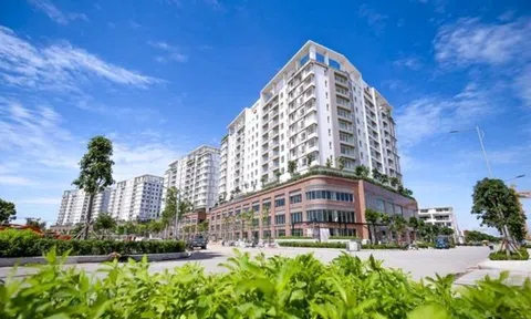 Đại Quang Minh bị phạt 875 triệu đồng vì chậm báo cáo bán nhà cho người nước ngoài