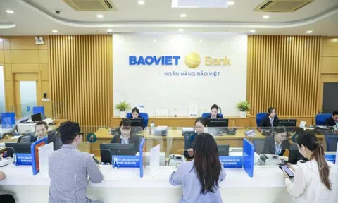 BaoViet Bank: Dòng tiền kinh doanh âm hơn 5.400 tỷ, nợ có khả năng mất vốn vượt 1.000 tỷ đồng