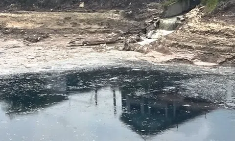 Công ty cổ phần Bất động sản Việt - Nhật bị xử phạt 150 triệu đồng