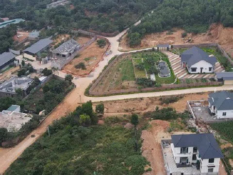Vĩnh Phúc: Phó Thủ tướng yêu cầu xử lý dứt điểm việc xây biệt thự trên đất rừng