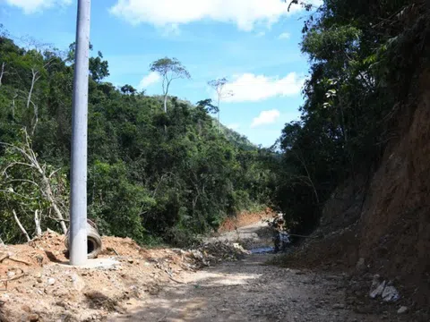 Quảng Ngãi: Chủ đầu tư dự án thủy điện Nước Long xâm lấn rừng phòng hộ