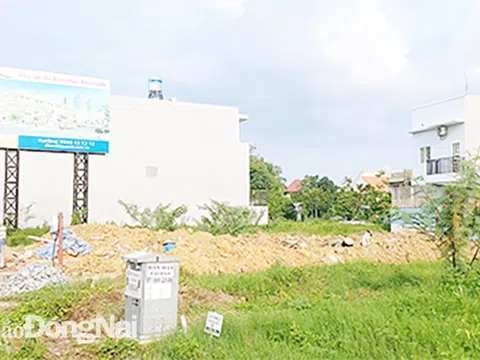 Dự án Khu nhà ở Tân Hạnh - TP.Biên Hòa: Người mua đất mòn mỏi chờ sổ hồng