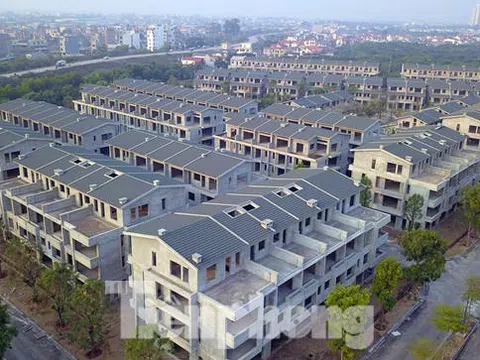Hưng Yên tìm chủ mới để hợp thức hơn 200 biệt thự Vạn Tuế-Sago Palm 'xây chui, bán sai'