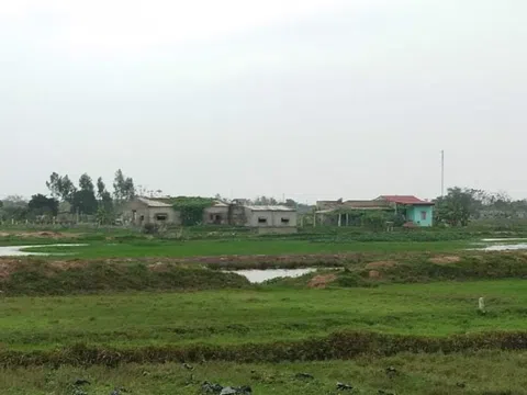 Thanh Hoá: Cần xử lý nghiêm tình trạng xây dựng trên đất nông nghiệp tràn lan tại xã Hoà Lộc
