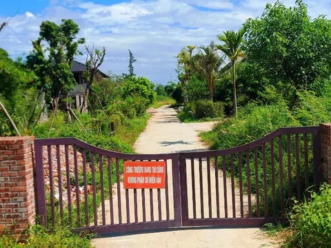 Thừa Thiên - Huế: Cần xử lý nghiêm hoạt động xây dựng trái phép tại dự án Go Green Farm