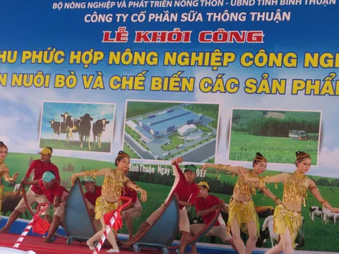 Bình Thuận xem xét chấm dứt dự án 479ha của Công ty Thông Thuận