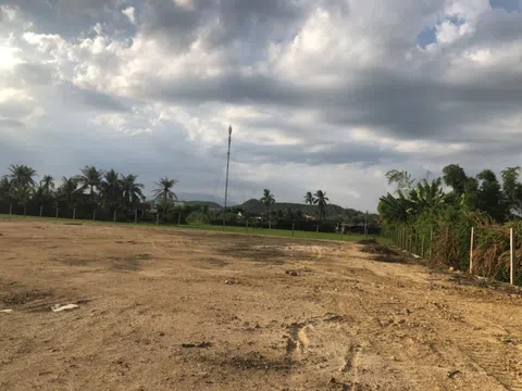 Khánh Hoà: “Loạn” chuyển mục đích đất lúa tại Thị xã Ninh Hoà