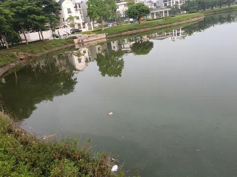 BẮC GIANG: Hồ trong khu đô thị 'đẳng cấp nhất Bắc Giang' bốc mùi xú uế