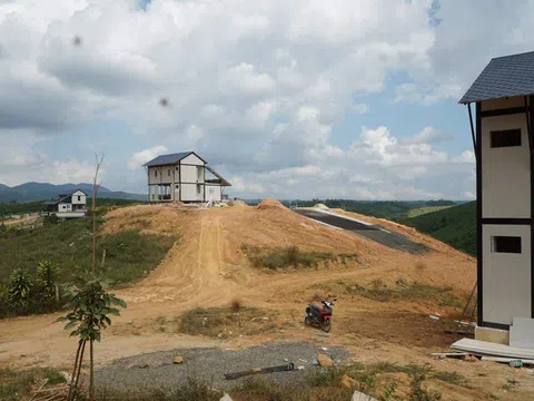 Lâm Đồng kiểm tra dự án ma và tình trạng phá rừng tại huyện Bảo Lâm