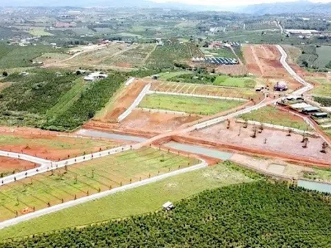 Phía sau "chiêu" hiến hơn 150 ha đất làm đường ở Lâm Đồng?