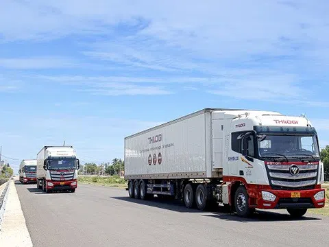 THILOGI phát triển dịch vụ logistics xuất khẩu nông sản với sản lượng lớn