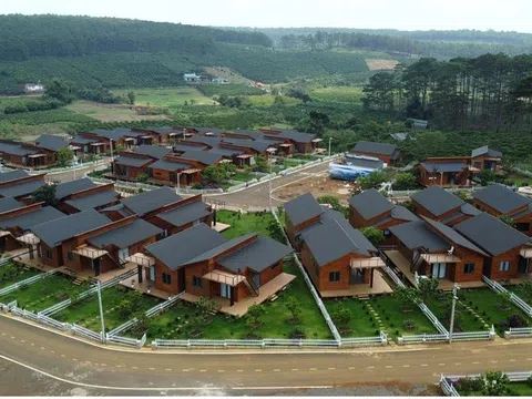 Lâm Đồng: Dự án "ma" với gần 100 căn biệt thự giữa rừng thông