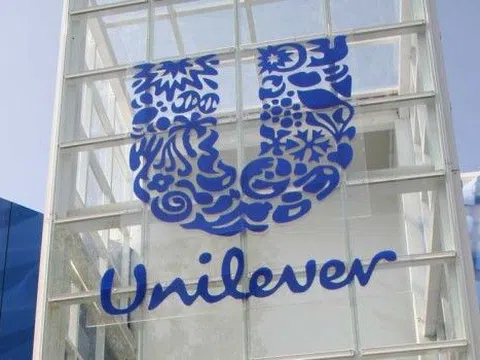 Thu hồi số lượng lớn dầu gội khô của Unilever do phát hiện hóa chất gây ung thư