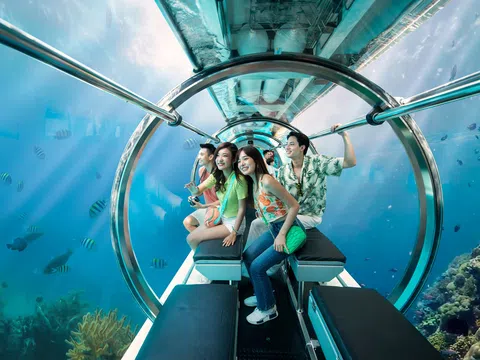 Tâm điểm du lịch hè WonderFest Nha Trang khuynh đảo mạng xã hội