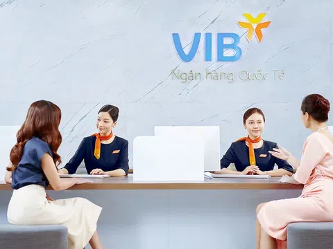 Nguồn thu chính giảm, VIB báo lãi 6 tháng đi lùi, nợ xấu tăng lên 3,66%