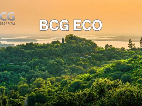 Tập đoàn Bamboo Capital thành lập BCG Eco để thực hiện hóa mục tiêu phát triển vững