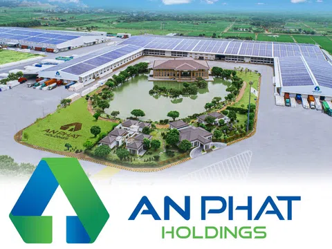 Công ty mẹ An Phát Holdings báo lỗ ròng 40,2 tỷ đồng trong 6 tháng đầu năm 2024