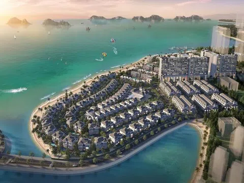 BIM Land lỗ hơn 341 tỷ đồng trong 6 tháng đầu năm 2024