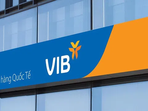 Rót tiền tài trợ Anh trai say Hi, VIB báo lãi giảm mạnh, nợ xấu 3,85%