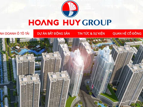 Hoàng Huy nói gì về kết luận Thanh tra của Chính phủ?