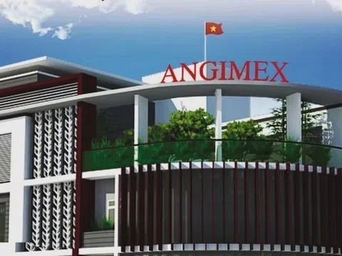 Lỗ 'ăn mòn' vốn chủ, Angimex khẳng định vẫn hoạt động liên tục